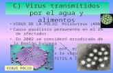 C) Virus transmitidos por el agua y alimentos VIRUS DE LA POLIO. Poliovirus (ARN) Causa parálisis permanente en el 2% de afectados. En 2002 se consideró.