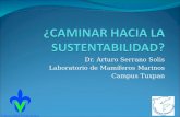 Dr. Arturo Serrano Solis Laboratorio de Mamíferos Marinos Campus Tuxpan.