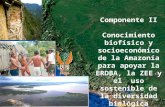 Componente II Conocimiento biofísico y socioeconómico de la Amazonía para apoyar la ERDBA, la ZEE y el uso sostenible de la diversidad biológica Presentado.