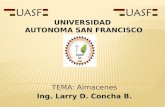 Almacenes TEMA: Almacenes Ing. Larry D. Concha B. UNIVERSIDAD AUTONOMA SAN FRANCISCO.