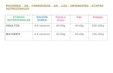 ETAPAS NUTRICIONALES RACIÓN DIARIA Pasta o Arroz PanPatatas ADULTOS4-6 raciones60-80g40-60g450-200g MAYORES4-6 raciones60-80g40-60g150-200g RACIONES DE.