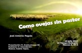 Presentación: B. Areskurrinaga HC Euskaraz: D. Amundarain. Música: Andrés Tejero. 19 julio 2015 16 Tiempo Ordinario Marcos 6, 30-3 José Antonio Pagola.