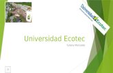 Universidad Ecotec Yuliana Merizalde MISION - VISION Formar profesionales emprendedores y humanistas, con una cultura integracionista, solidaria y de.