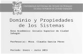 Dominio y Propiedades de los Sistemas Área Académica: Escuela Superior de Ciudad Sahagún Profesor(a): Mtra. Claudia García Pérez Periodo: Enero – Junio.