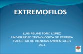 LUIS FELIPE TORO LOPEZ UNIVERSIDAD TECNOLOGICA DE PEREIRA FACULTAD DE CIENCIAS AMBIENTALES 2011.