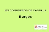 IES COMUNEROS DE CASTILLA Burgos. ESTRUCTURA DEL SISTEMA EDUCATIVO ACTUAL.
