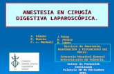 ANESTESIA EN CIRUGÍA DIGESTIVA LAPAROSCÓPICA. Servicio de Anestesia, Reanimación y Tratamiento del Dolor. Consorcio Hospital General Universitario de Valencia.