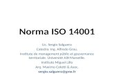 Norma ISO 14001 Lic. Sergio Salguero Catedra: Ing. Alfredo Grau. Institute de management públic et gouvernance territoriale. Université AIX-Marseille.