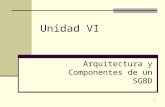 1 Unidad VI Arquitectura y Componentes de un SGBD.