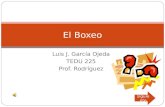 Luis J. García Ojeda TEDU 225 Prof. Rodríguez El Boxeo siguiente.