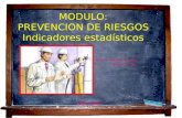 MODULO: PREVENCION DE RIESGOS Indicadores estadísticos Profesor: Fabiola Guevara Z Ingeniero Forestal Marzo 2009.