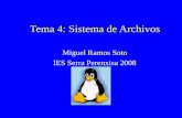 Tema 4: Sistema de Archivos Miguel Ramos Soto IES Serra Perenxisa 2008.
