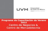 Programa de Capacitación de Verano 2012 Centro de Negocios & Centro de Mercadotecnia.