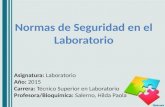 Normas de Seguridad en el Laboratorio Asignatura: Laboratorio Año: 2015 Carrera: Técnico Superior en Laboratorio Profesora/Bioquímica: Salerno, Hilda Paola.