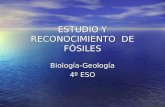 ESTUDIO Y RECONOCIMIENTO DE FÓSILES Biología-Geología 4º ESO.