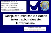 Conjunto Minimo de datos Internacionales de Enfermeria. UNIVERSIDAD DEL ZULIA MARACAIBO - VENEZUELA FACULTAD DE MEDICINA ESCUELA DE ENFERMERIA POSTGRADO.