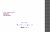 M. Paz Microbiología II UMG-2011. La causa más frecuente de enfermedades infecciosas. Primera causa de consulta médica. Alto costo económico para el país.