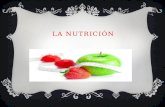 LA NUTRICIÓN.  La nutrición es principalmente el aprovechamiento de los nutrientes, manteniendo el equilibrio homeostático del organismo a nivel molecular.