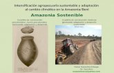 Intensificación agropecuaria sustentable y adaptación al cambio climático en la Amazonia/Beni Amazonia Sostenible Cuadrilla de construcción precolombina.
