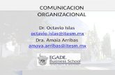 Dr. Octavio Islas octavio.islas@itesm.mx octavio.islas@itesm.mx Dra. Amaia Arribas amaya.arribas@itesm.mx amaya.arribas@itesm.mx COMUNICACION ORGANIZACIONAL.