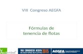 Fórmulas de tenencia de flotas VIII Congreso AEGFA.