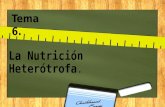 La Nutrición Heterótrofa. Tema 6.. En la nutrición heterótrofa, los organismos obtienen las sustancias que necesitan a partir de materia orgánica que.