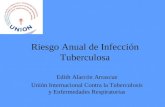 Riesgo Anual de Infección Tuberculosa Edith Alarcón Arrascue Unión Internacional Contra la Tuberculosis y Enfermedades Respiratorias.