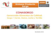 Sistema Producto Sorgo CONASORGO Generando Alimentos de Calidad; Sorgo = Carne, Huevo, Leche y Tortilla Noviembre 2013.