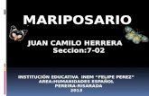 JUAN CAMILO HERRERA Seccion:7-02 Seccion:7-02 INSTITUCIÓN EDUCATIVA INEM “FELIPE PEREZ” AREA:HUMANIDADES ESPAÑOL PEREIRA-RISARADA PEREIRA-RISARADA2013.