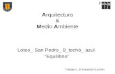 Arquitectura & Medio Ambiente Loteo_ San Pedro_ 8_techó_ azul. “Equilibrio” Trabajo n_3/ Eduardo Guzmán.