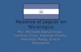 Reserva el Jaguar en Nicaragua Por: Michelle Baruchman, Cynthia Chac, Hannah Frantz, Kennedy Reeg, Grace Townsend.