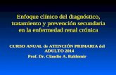 Enfoque clínico del diagnóstico, tratamiento y prevención secundaria en la enfermedad renal crónica CURSO ANUAL de ATENCIÓN PRIMARIA del ADULTO 2014 Prof.