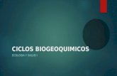CICLOS BIOGEOQUIMICOS ECOLOGIA Y SALUD I. Ciclo del Nitrógeno  Los seres vivos requieren átomos de nitrógeno para la síntesis de moléculas orgánicas.