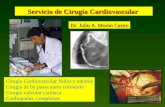 Servicio de Cirugia Cardiovascular Dr. Julio A. Morón Castro Cirugia Cardiovascular Niños y adultos Cirugia de by passs aorto coronario Cirugía valvular.
