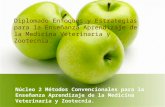 Diplomado Enfoques y Estrategias para la Enseñanza Aprendizaje de la Medicina Veterinaria y Zootecnia. Núcleo 2 Métodos Convencionales para la Enseñanza.