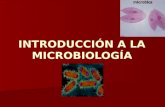 INTRODUCCIÓN A LA MICROBIOLOGÍA. Introducción La Microbiología se puede definir, como la ciencia que trata de los seres vivos muy pequeños, concretamente.