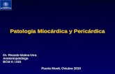 Patología Miocárdica y Pericárdica Dr. Ricardo Molina Urra Anatomopatólogo BCM II; USS Puerto Montt, Octubre 2010.