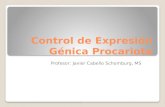 Control de Expresión Génica Procariota Profesor: Javier Cabello Schomburg, MS.