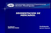 SEGMENTACION DE MERCADOS. Participante: Barrera Damaris Facilitador: MONTOYA PEDRO.