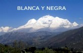 BLANCA Y NEGRA E n el departamento de Ancash-capital Huaraz, al norte de Lima - Perú. Se encuentra la Cordillera Blanca que constituye la cadena montañosa.
