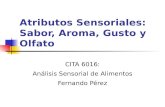Atributos Sensoriales: Sabor, Aroma, Gusto y Olfato CITA 6016: Análisis Sensorial de Alimentos Fernando Pérez.