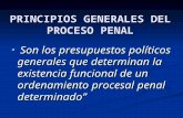 PRINCIPIOS GENERALES DEL PROCESO PENAL “ Son los presupuestos políticos generales que determinan la existencia funcional de un ordenamiento procesal penal.