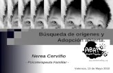Valencia, 13 de Mayo 2010 Búsqueda de orígenes y Adopción abierta. Nerea Cerviño Nerea Cerviño - Psicoterapeuta Familiar -