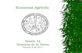 Economía Agrícola Sesión 12 Tenencia de la Tierra Febrero 9 de 2011.