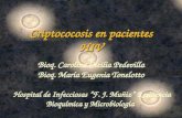 Bioq. Carolina Cecilia Pedevilla Bioq. María Eugenia Tonelotto Hospital de Infecciosas “F. J. Muñiz” Residencia Bioquímica y Microbiología Criptococosis.