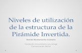 Niveles de utilización de la estructura de la Pirámide Invertida. Daniel Bustamante Castaño Fundación Universitaria Luis Amigó Comunicación Social.