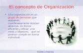 El concepto de Organización U na organización es un grupo de personas que actuando coordinadamente buscan alcanzar, en forma eficiente y eficaz, una meta.