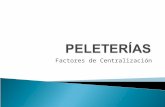 Factores de Centralización.  2 peleterías en Madrid y otra en Valladolid ◦ Centro Comercial Mirasierra c/Nuria 59 ◦ c/doctrinos 4  Facilidad de acceso.