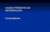 CARACTERISTICAS GENERALES: Cyanophyta..