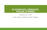 ALCOHOLES, FENOLES, TIOLES, ETERES Semana 19 y 20 Licda. Lilian Judith Guzmán Melgar 1.